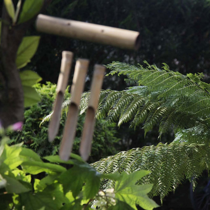 Hotel Ariston | Eco Hotel