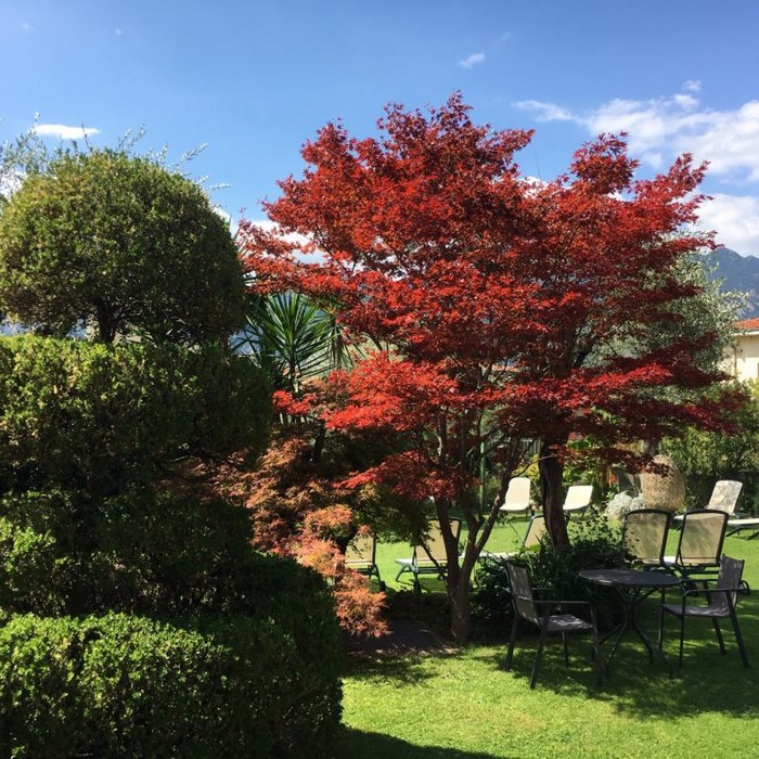 Hotel Ariston | I servizi