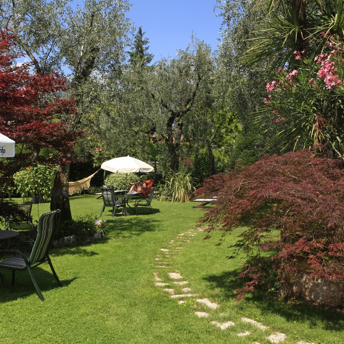 Hotel Ariston | I servizi